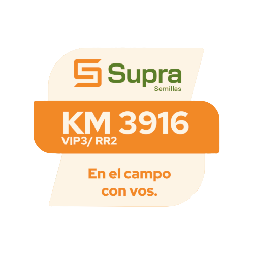 Maíz KM 3916 VIP3 / RR2