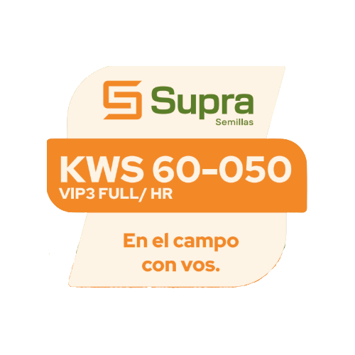 Maíz KWS 60-050 VIP3 FULL / HR
