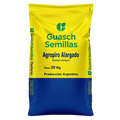Agropiro Alargado