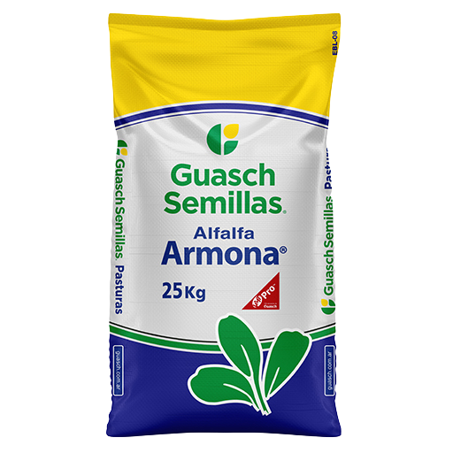 Alfalfa Armona