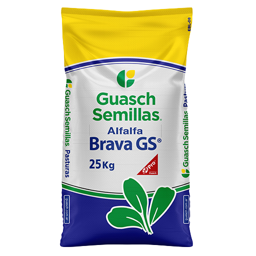 Alfalfa Brava GS