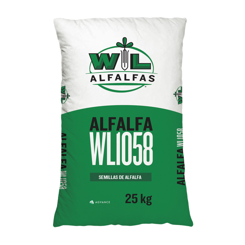 Alfalfa WL1058
