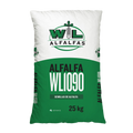 Alfalfa WL1090