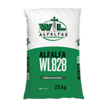Alfalfa WL828
