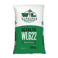 Alfalfa WL622