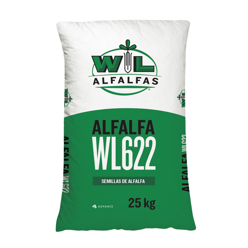 Alfalfa WL622