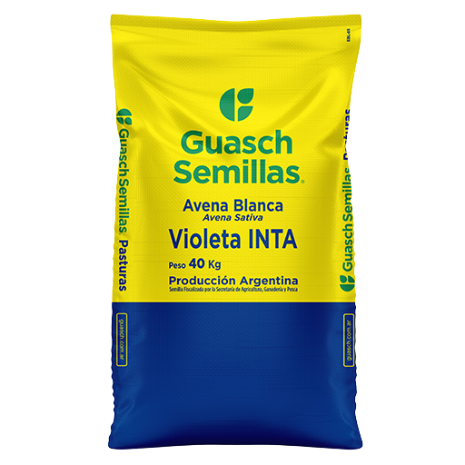 Avena Blanca Violeta INTA