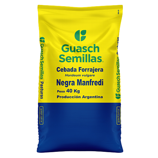Cebada Forrajera Negra Manfredi