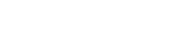 Insea 