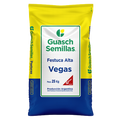 Festuca Alta Vegas