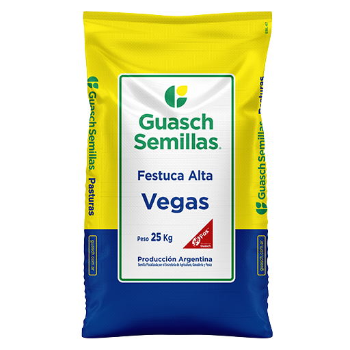 Festuca Alta Vegas