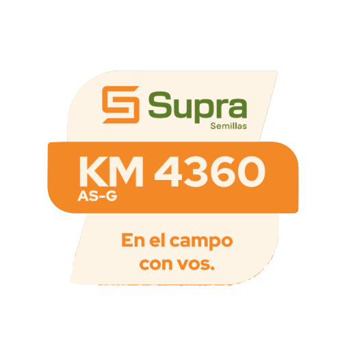 Maíz KM 4360 AS-G