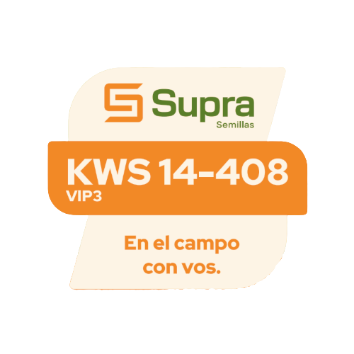 Maíz KWS 14-408 VIP3