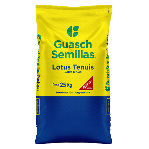 Lotus Tenuis