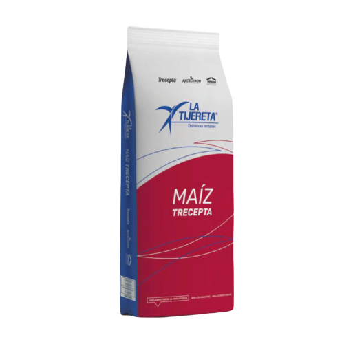 Maíz LT 722