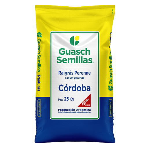 Raigrás Perenne Córdoba