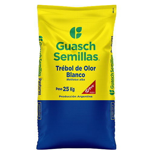Trébol de Olor Blanco