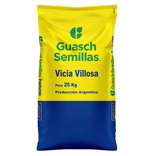 Vicia Villosa